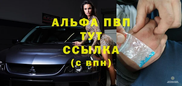 гидра Алексеевка