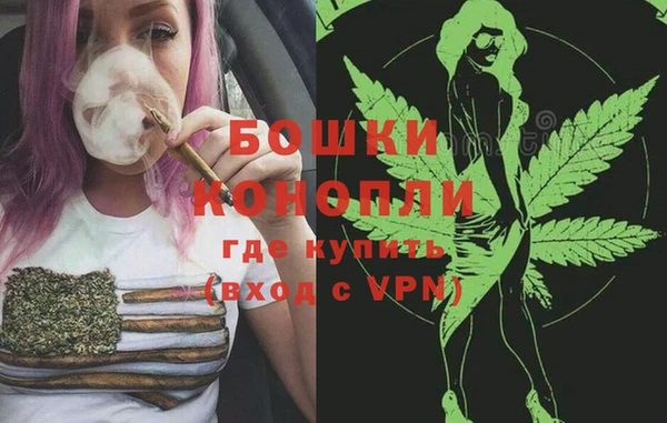 гидра Алексеевка